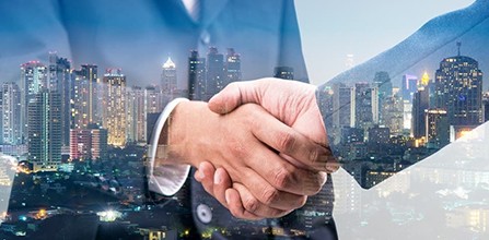 10+ Brand Partnerships